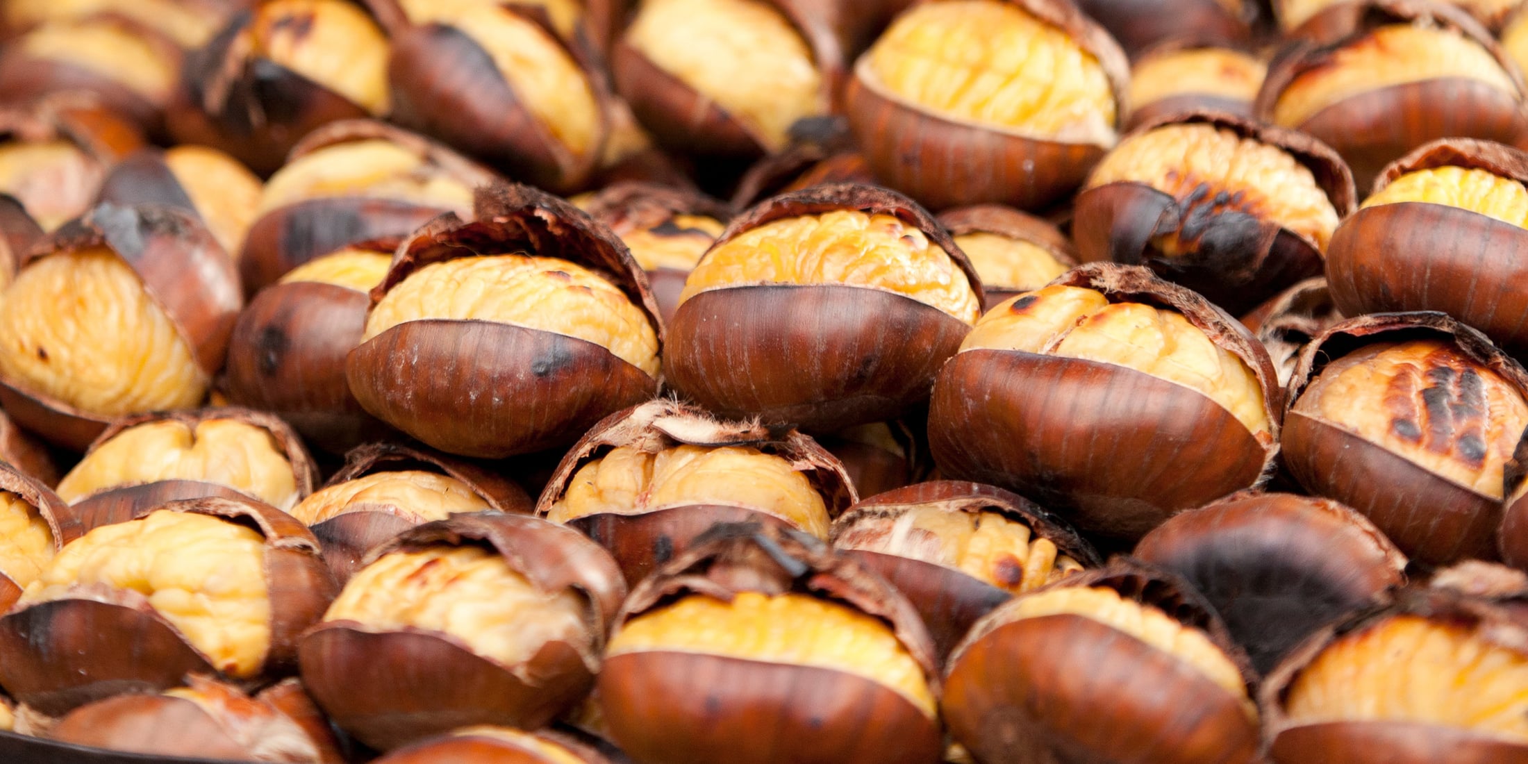 Auf Reisen Tessin Marroni