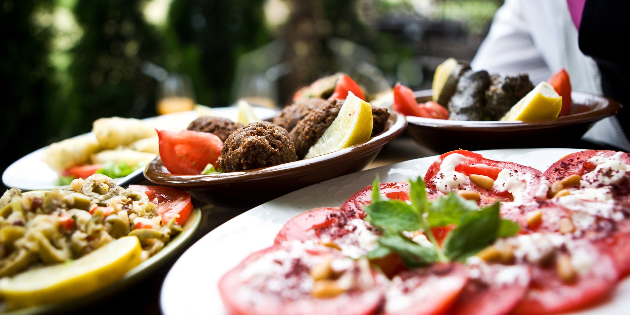 Aufblühen Galerie 1