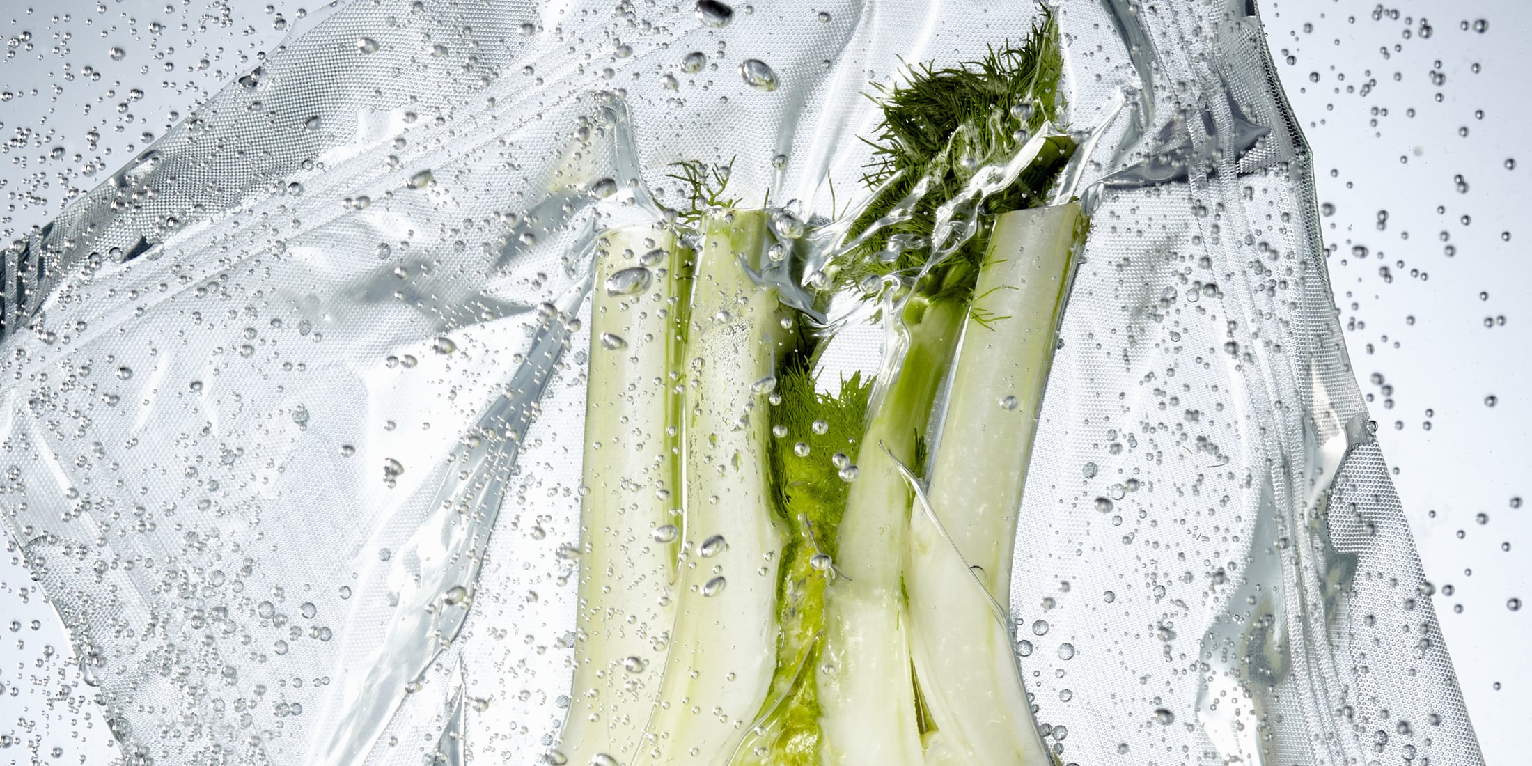 Fenchel sous vide