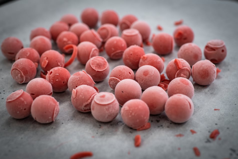 Erfolgsgeschichte Das Morgen Pistor Inspiration Glacekugel1