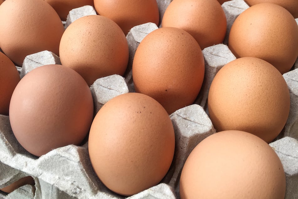 Pistor Frische Eier