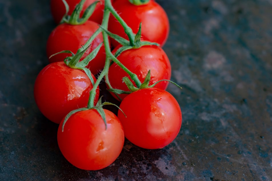 Pistor Sortiment Frische Tomate