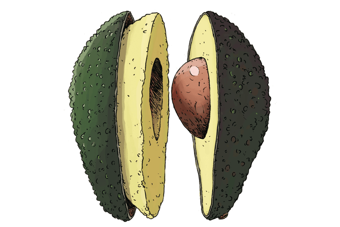 Pistor Inspiration Avocado AVOCADOO fix