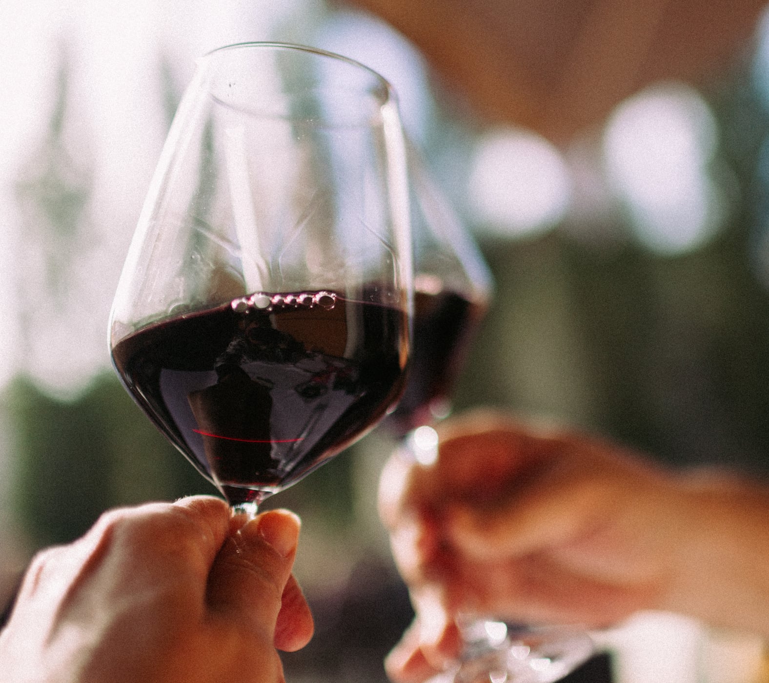 Blog am liebsten heimisch Wein Fakten Teaser