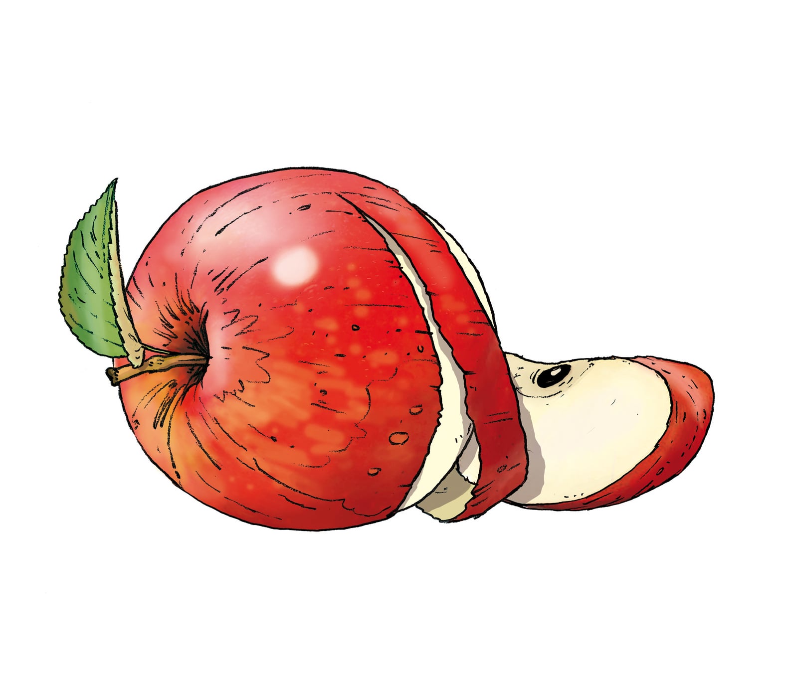 Apfel Wissen Inspiration Blog