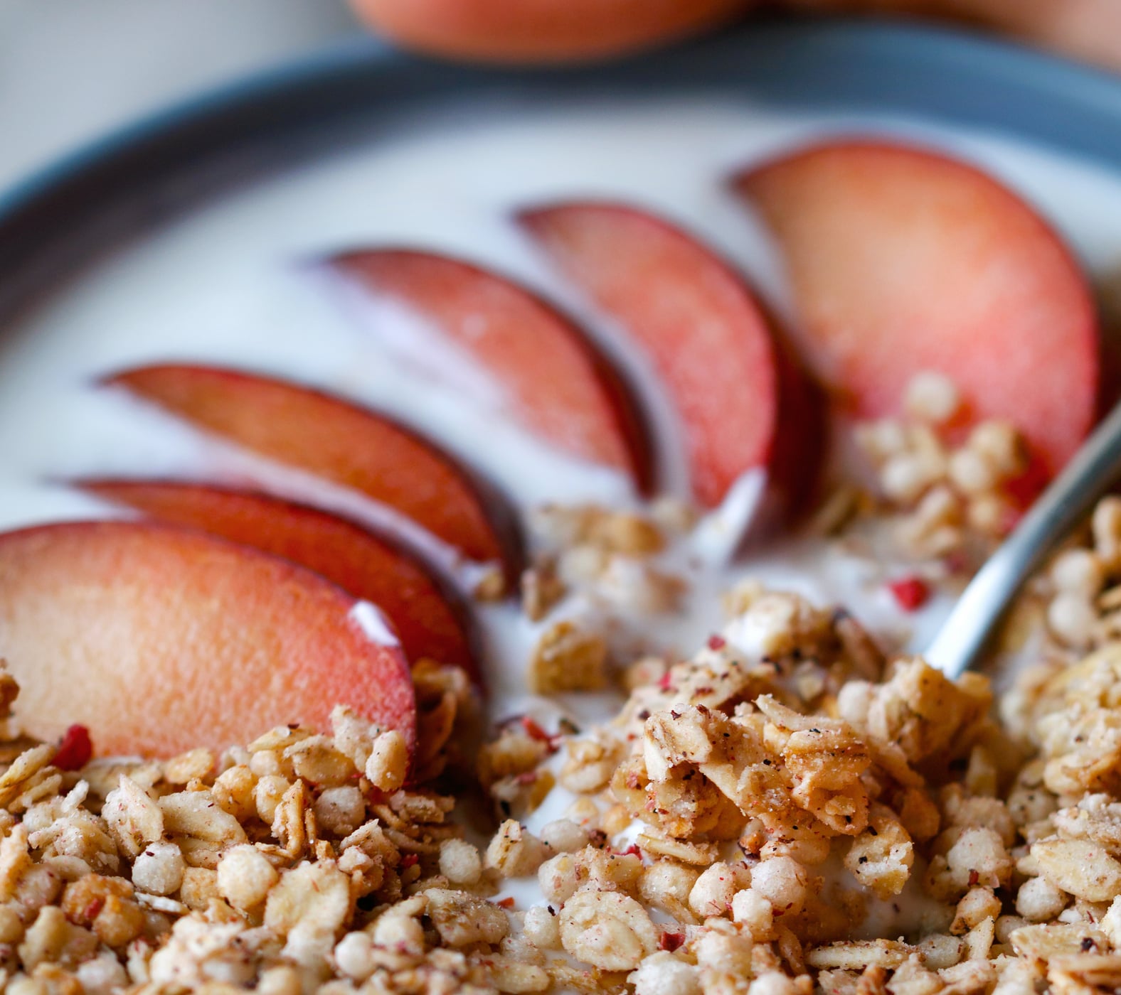 Pistor Inspiration Proats