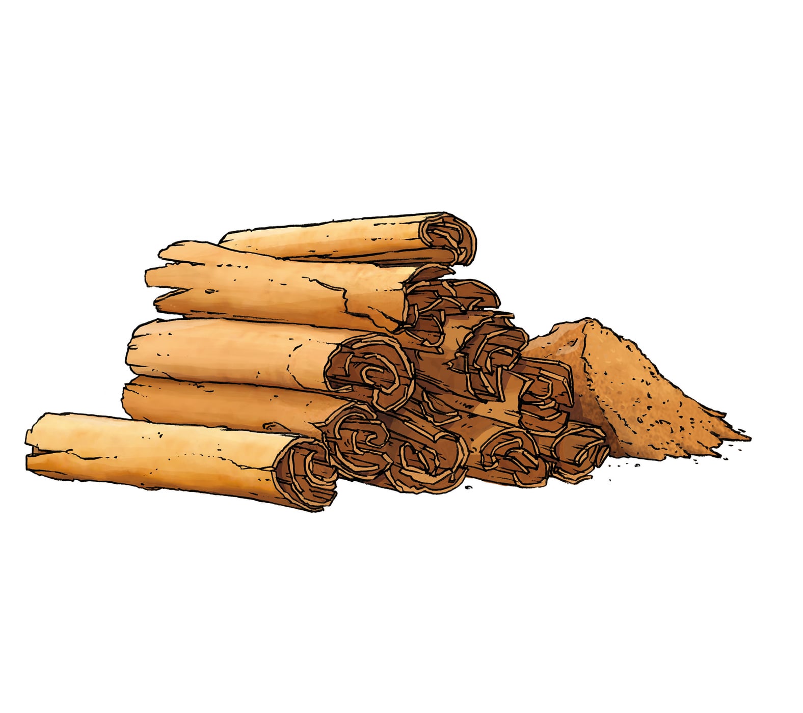 Zimt Inspiration Blog Pistor Amuse Bouche Wissenswert