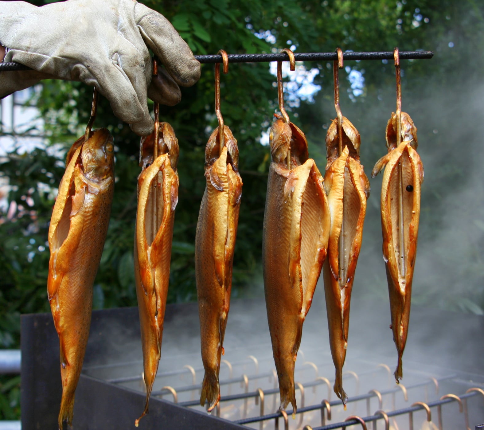 Pistor Inspiration Fisch aus dem Rauch