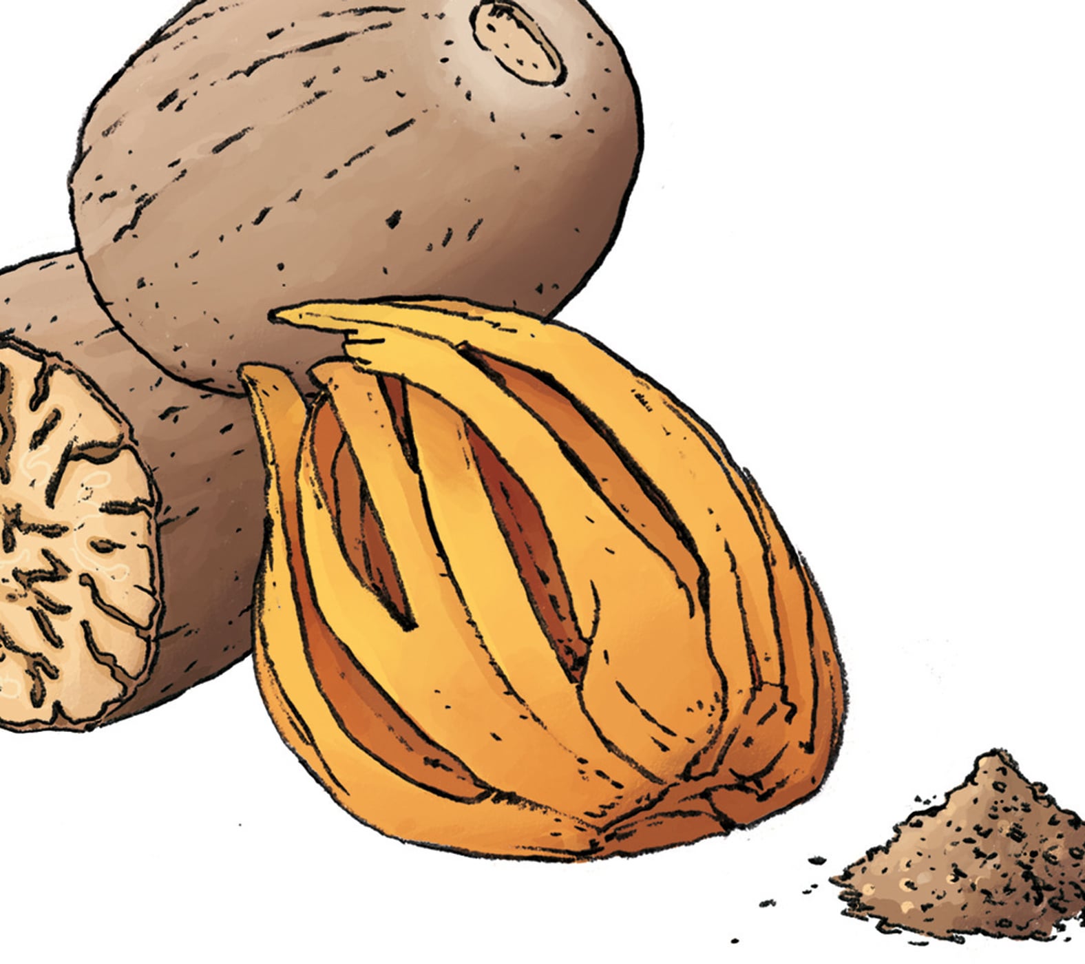 Inspiration Muskatnuss