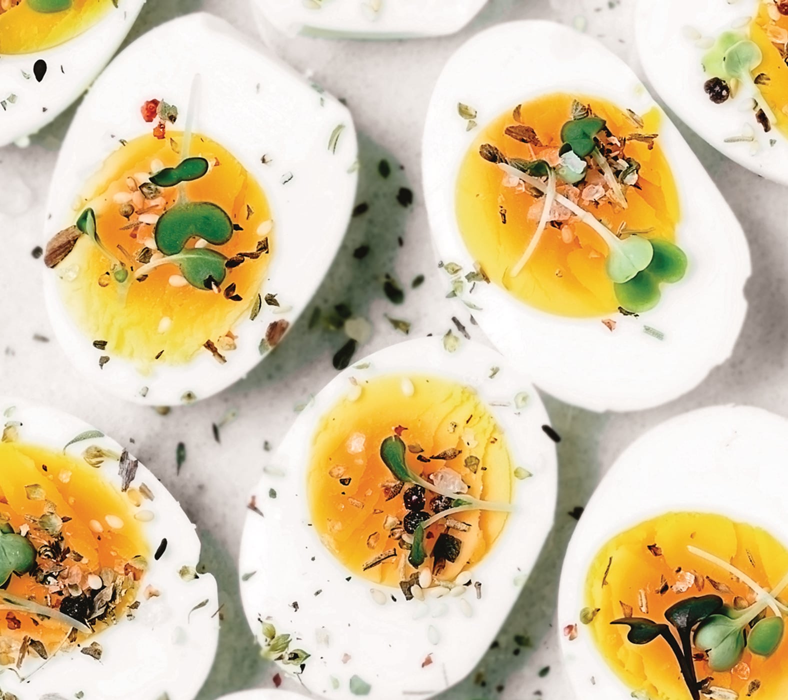 Eier und Eiprodukte Sortiment halbe Eier