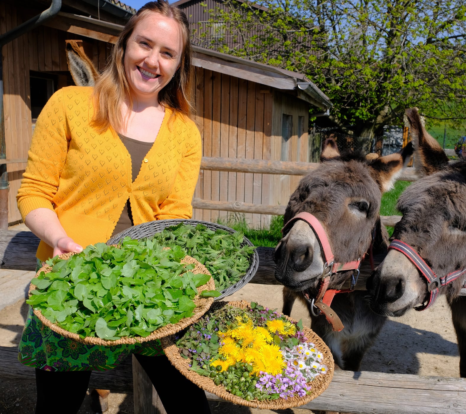 Kraeuter als Heilpflanze Julia Zumbuehl