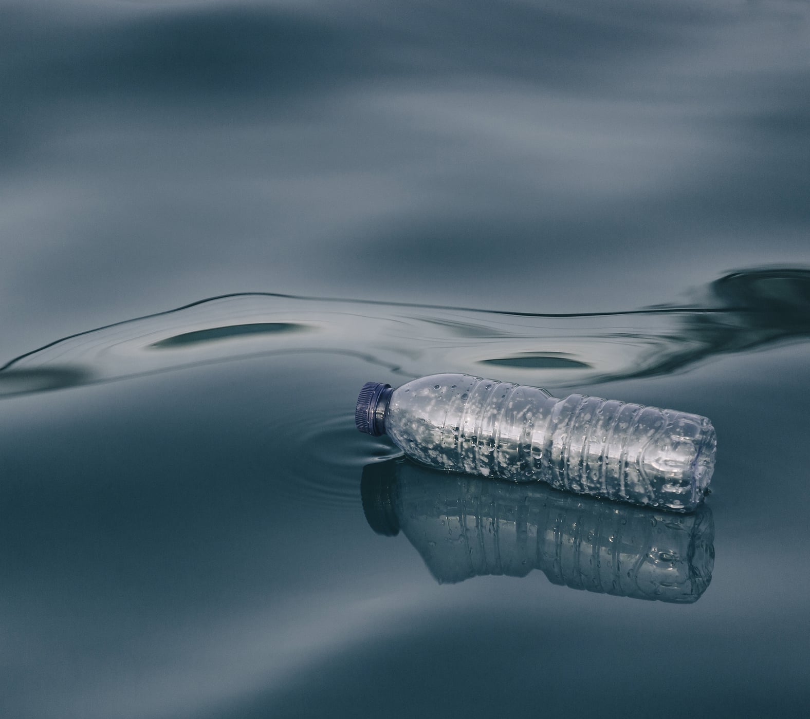 Gewaesserverschmutzung Plastikmuell im Wasser