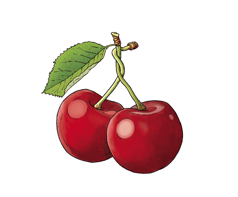 Kirsche Inspiration Amuse Bouche Illustration