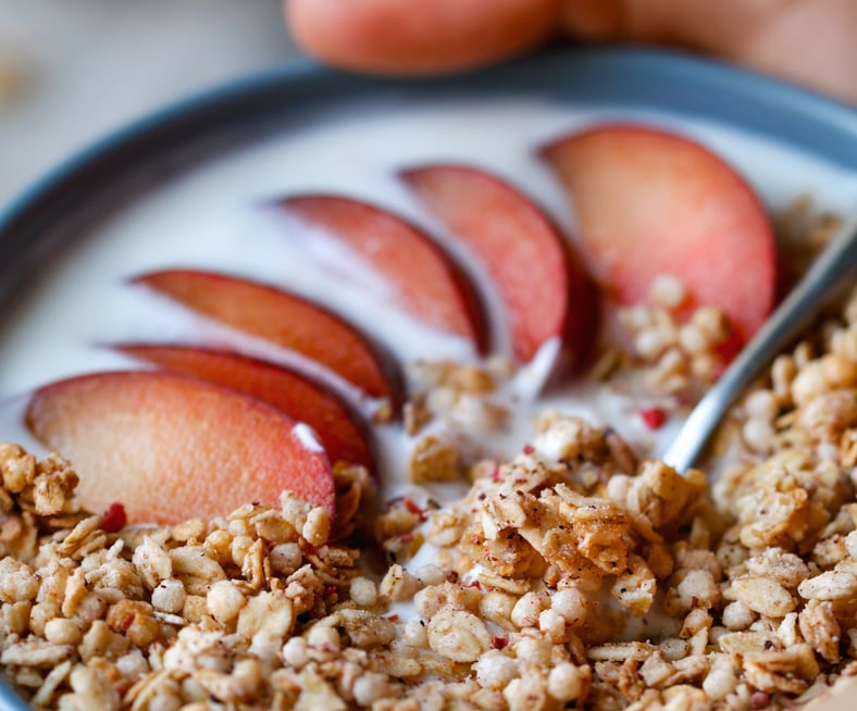 Pistor Inspiration Proats