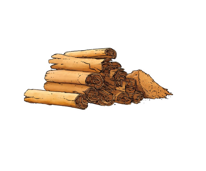 Zimt Inspiration Blog Pistor Amuse Bouche Wissenswert