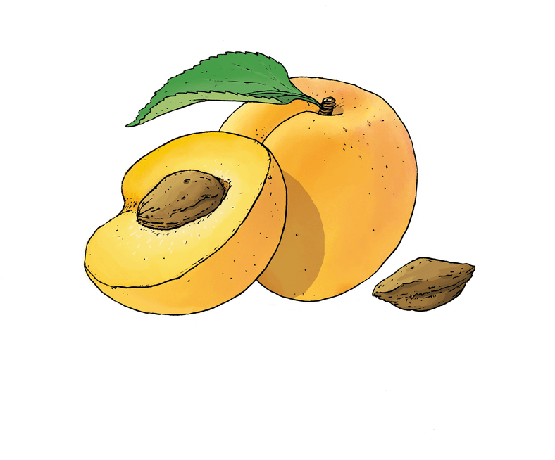 Inspiration Aprikose