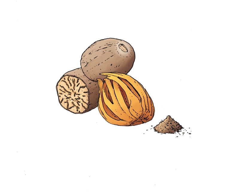 Inspiration Muskatnuss