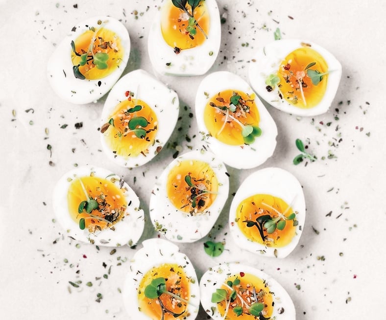 Eier und Eiprodukte Sortiment halbe Eier