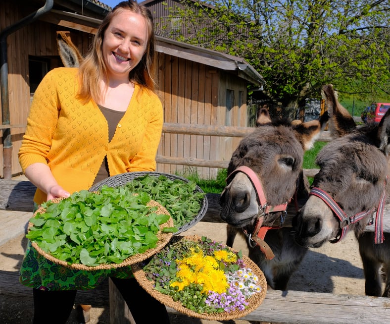 Kraeuter als Heilpflanze Julia Zumbuehl