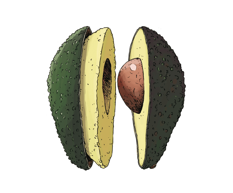 Pistor Inspiration Avocado AVOCADOO fix