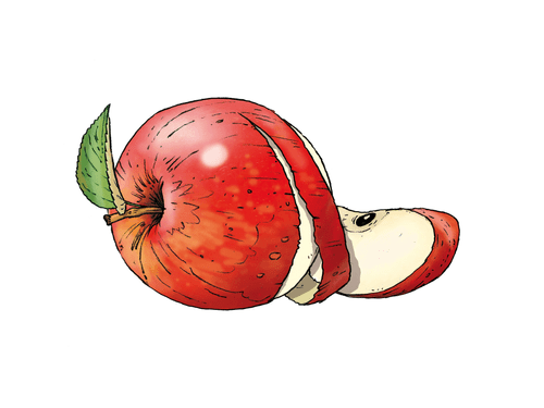 Apfel Wissen Inspiration Blog