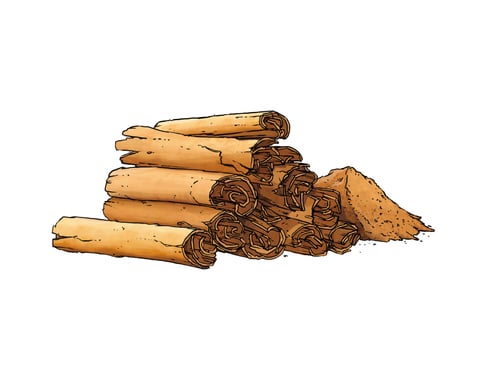 Zimt Inspiration Blog Pistor Amuse Bouche Wissenswert