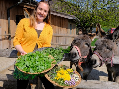 Kraeuter als Heilpflanze Julia Zumbuehl